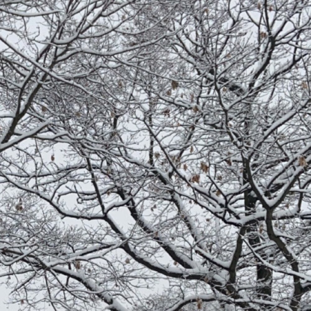 Meet your Posher, Caitlyn